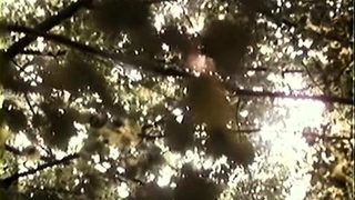 Hairy pussy was licked in this nice vintage porn