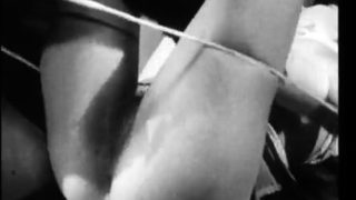 Sexy brunette babe goes crazy licking a cunt